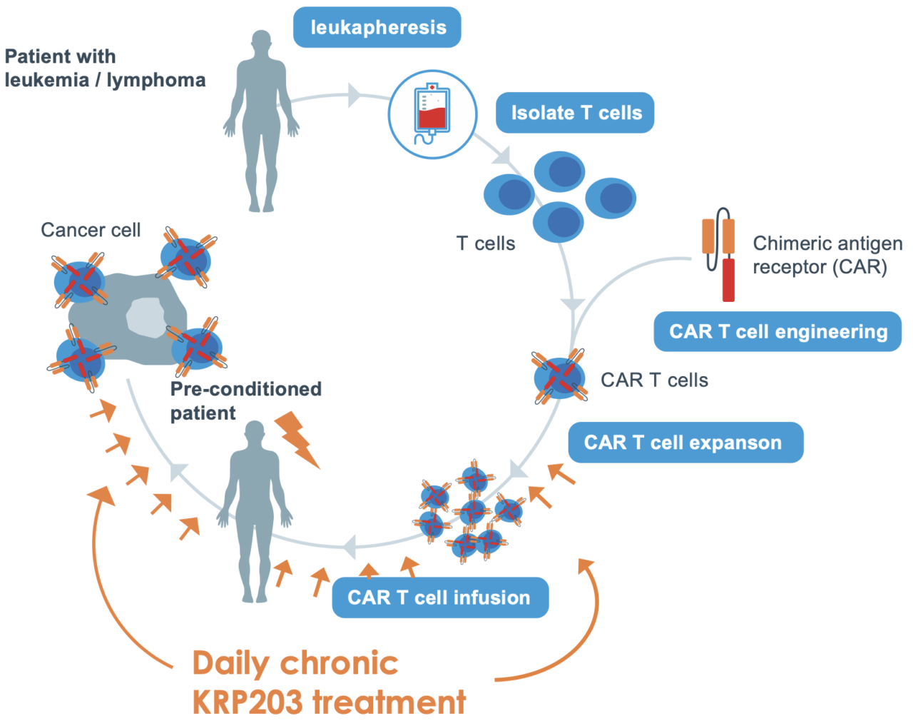 Car T Cell Therapy Priothera 1062