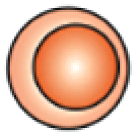 Alloreactive Donor TCell