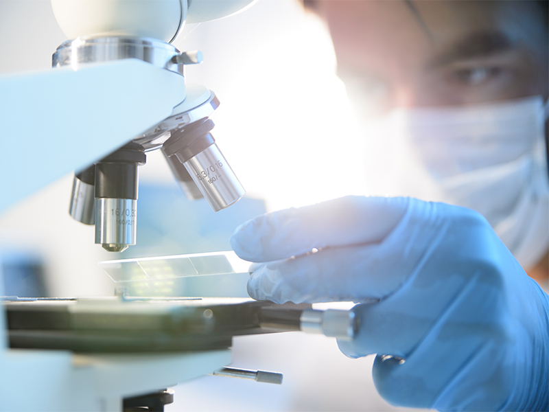Pniothera pounsuit sa levée de fonds pour accélérer son traitement des cancens hématologiques